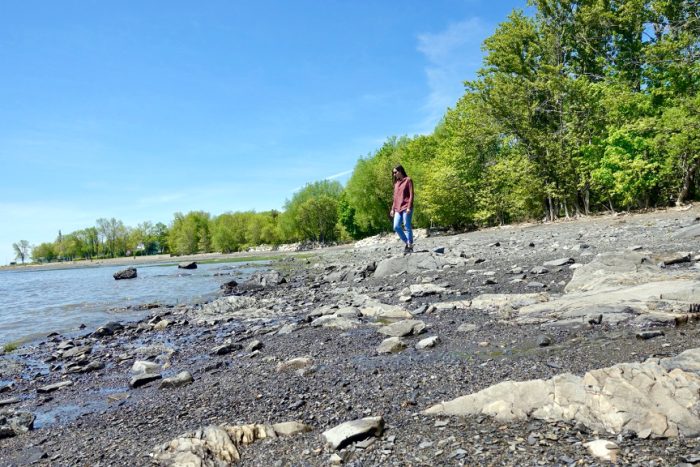 beach on ile d'orleans