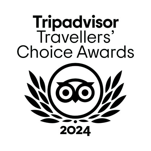 Trip advisor Logo 2024